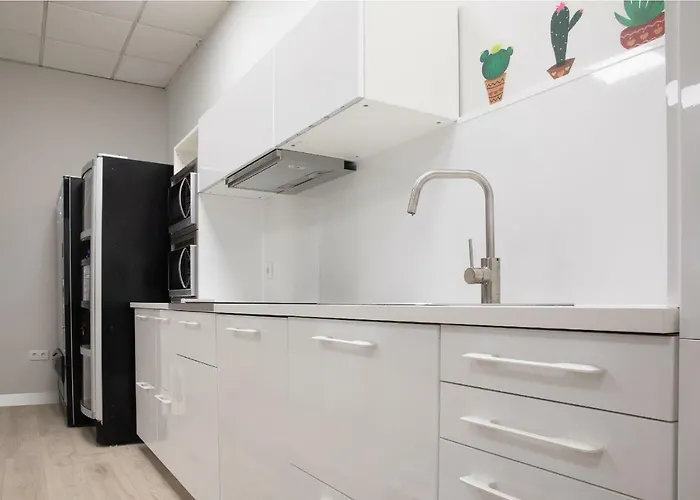 Dream In Santiago Saint-Jacques-de-Compostelle